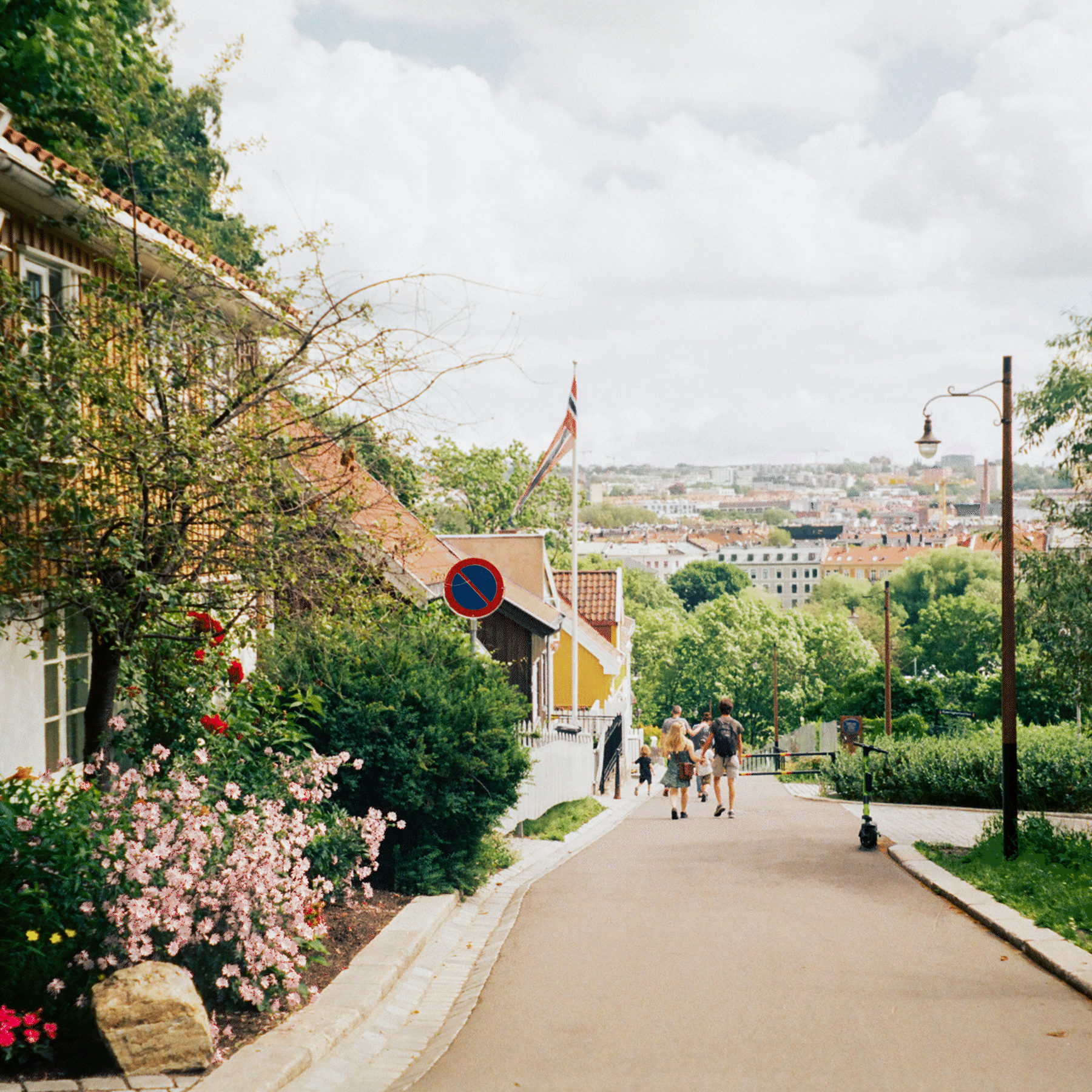 an image of Oslo, shows a road in spring